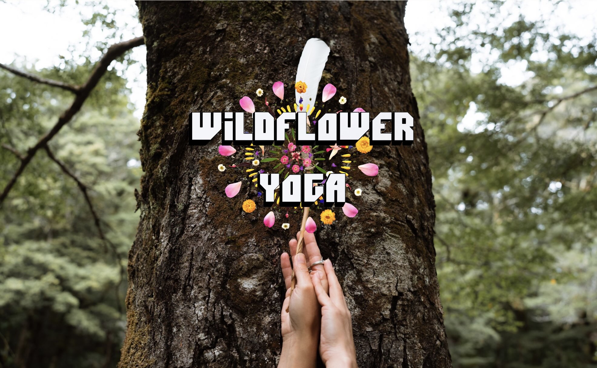 Wildflower Yoga
